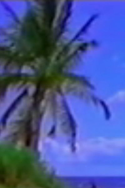 Poster do Filme Vexation Island