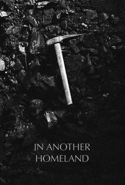 movie poster for In Another Homeland
