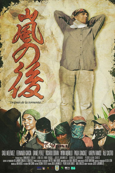 Poster do Filme Después de la tormenta...