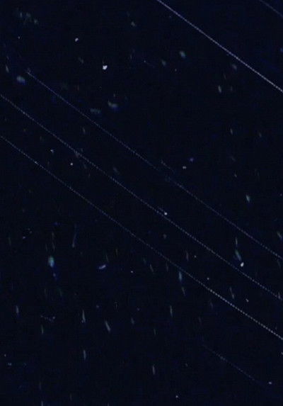 Poster do Filme The Seasons