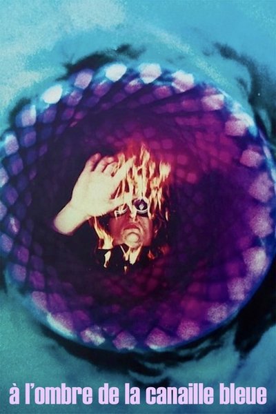 Poster do Filme À l'ombre de la canaille bleue