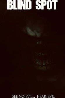 Poster do Filme Blind Spot