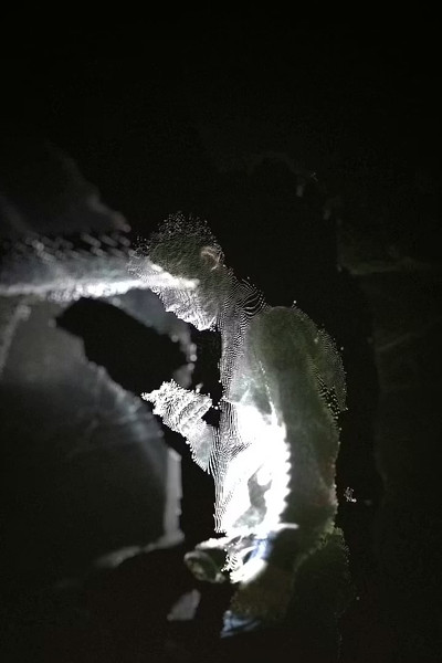 Poster do Filme I Don't Think I'm Alone in This