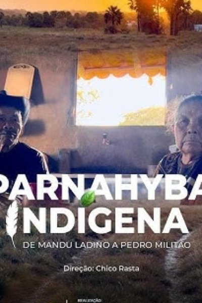movie poster for Parnahyba Indígena