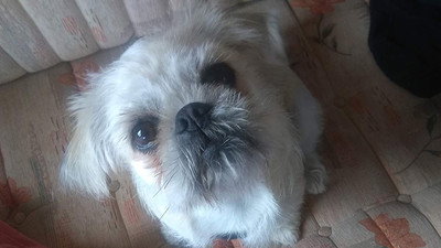 Görsel #857962