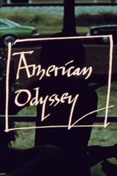 Poster do Filme American Odyssey