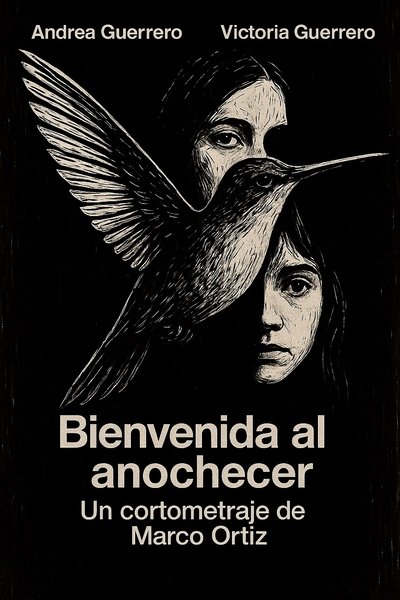 movie poster for Bienvenida al Anochecer