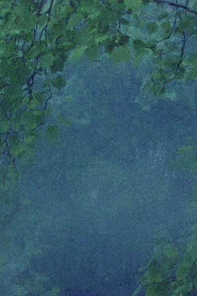 Poster do Filme The Names of Things