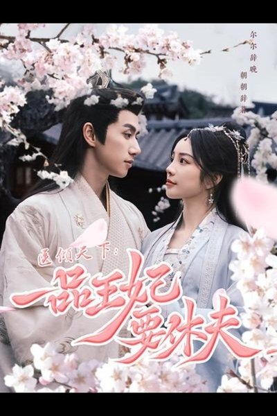 poster for The Prince and the Concubine's divorce