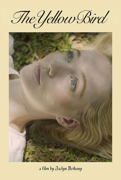 Poster do Filme The Yellow Bird