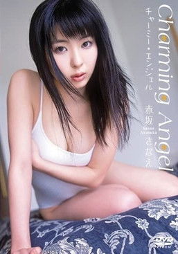 Poster do Filme 赤坂さなえ チャーミーエンジェル