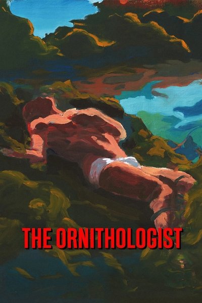 Poster for the movie The Ornithologist