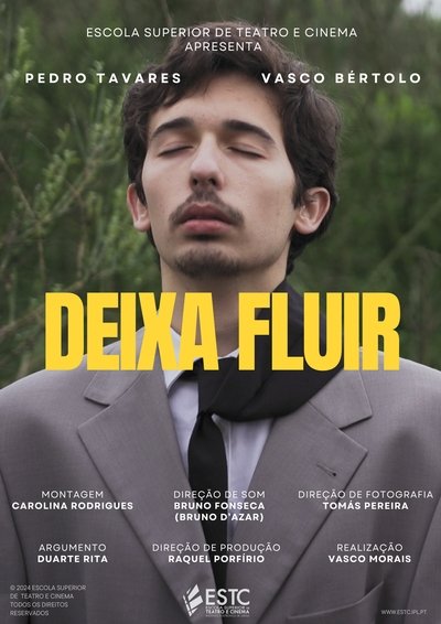 Poster do Filme Deixa Fluir