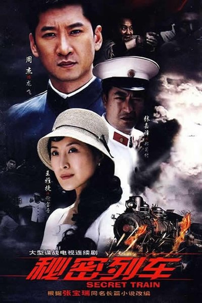 poster for 秘密列车