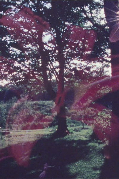 Poster do Filme Spem in Alium