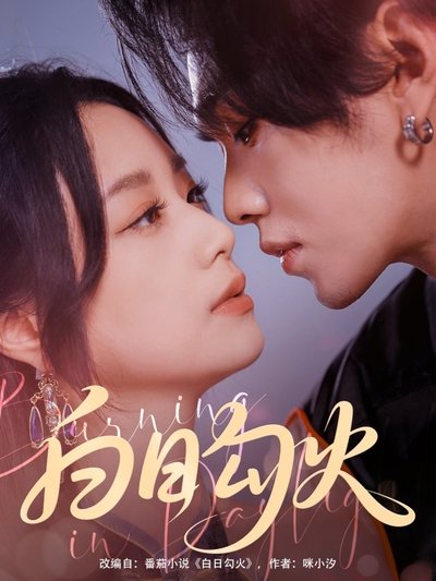 poster for Burning in Daylight