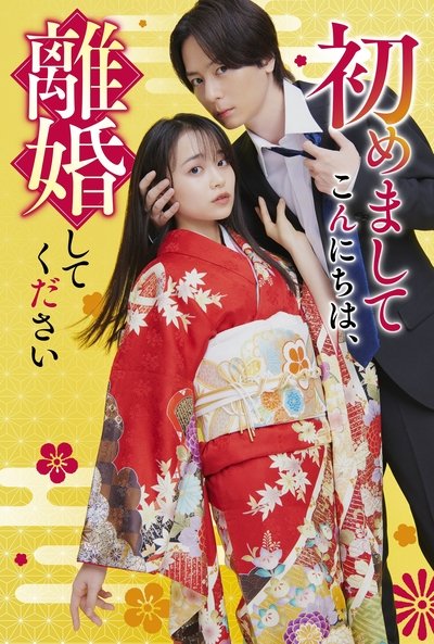 poster for Hello. Nice to Meet You, Let's Divorce