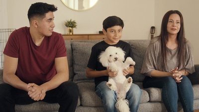 tv poster