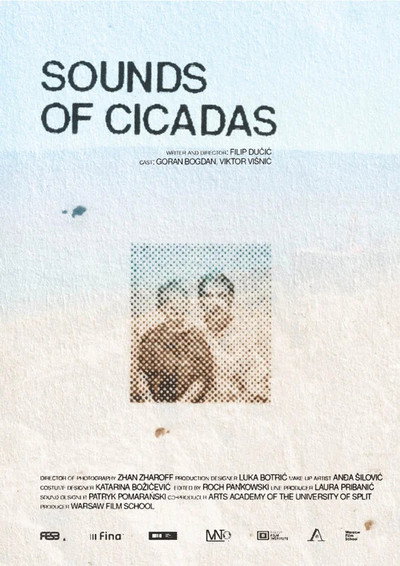 Sounds of Cicadas