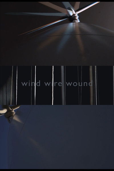 Poster do Filme WIND WIRE WOUND