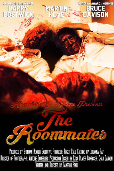 Poster do Filme The Roommates