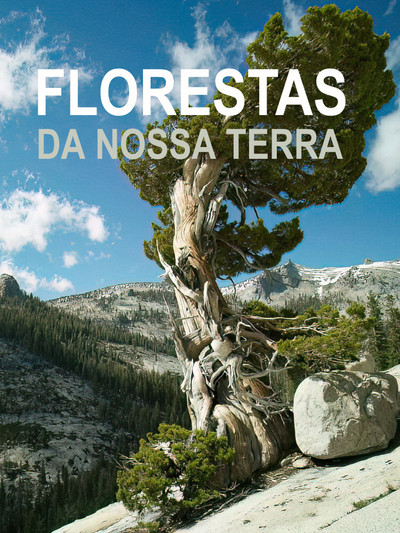 Poster do Filme Wälder unserer Erde