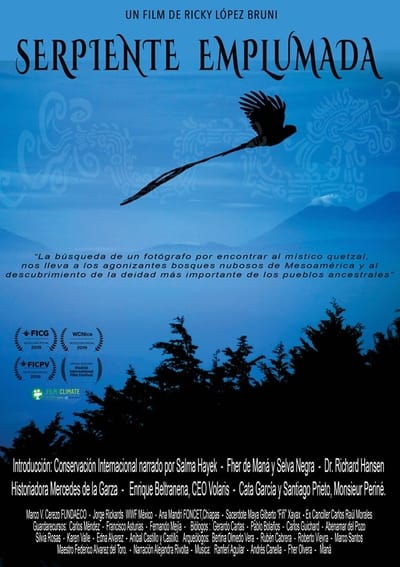 poster Guatemala - Sauver le quetzal, l'oiseau sacré des Mayas