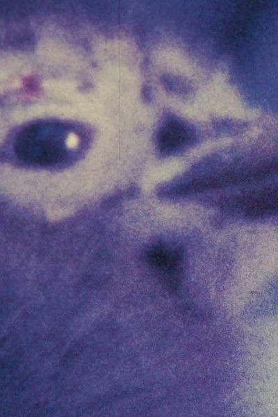 Poster do Filme Capricornio 78