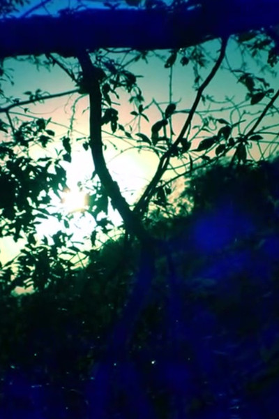 movie poster for Ode to Big Booty Bitches