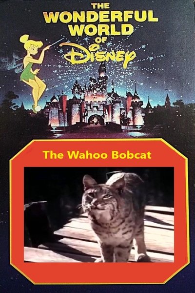 Poster do Filme The Wahoo Bobcat