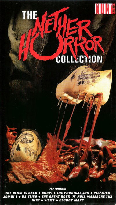 movie poster for Visite