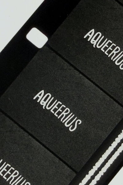 Aqueerius