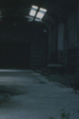 Poster do Filme 大久保の廃墟