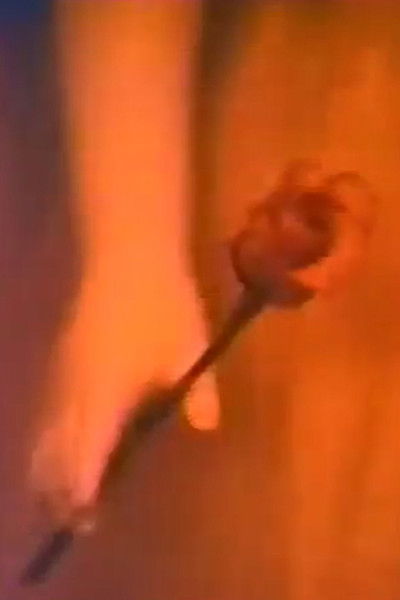 Poster do Filme My collections