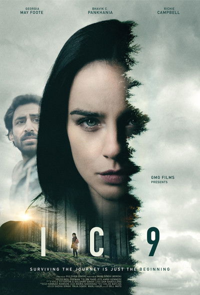 Poster do Filme IC9