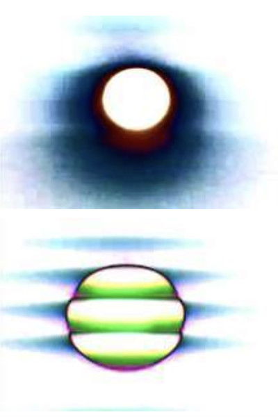 Poster do Filme Affection Exonerate