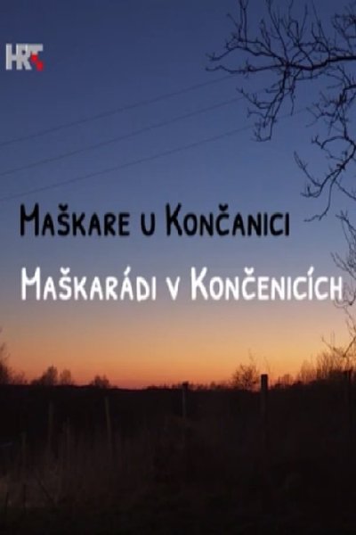 movie poster for The Carnival in Končanica