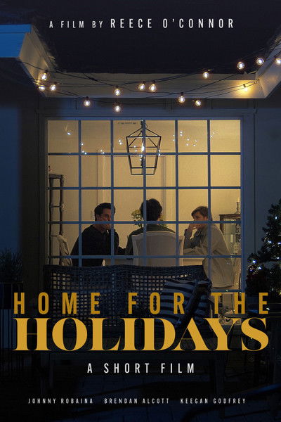 Poster do Filme Home for the Holidays