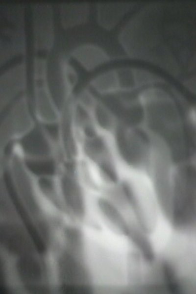 Poster do Filme The Heart Cycle