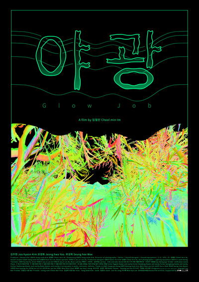 Poster do Filme 야광