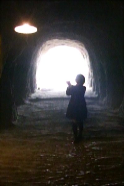 Poster do Filme 夜のてのひらの森