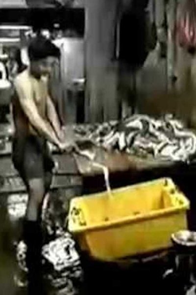 Watch!Kowloon Walled City Movie Online FreePutlockers-HD