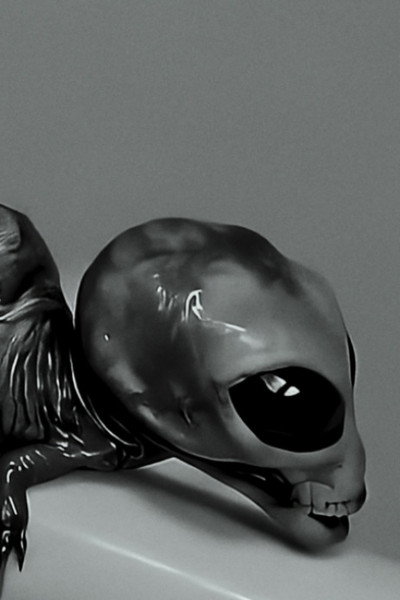 Small talk about the Reptilian