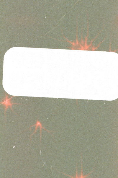 Poster do Filme Roll (1&2)