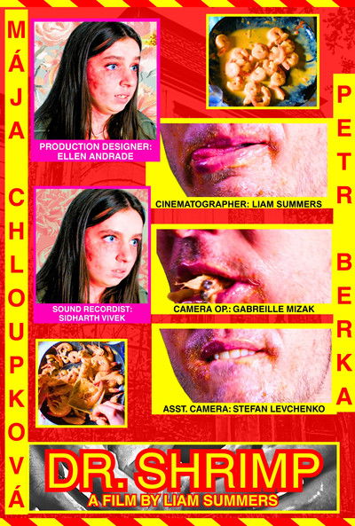 Poster do Filme Dr. Shrimp