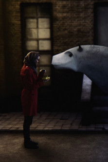 Poster do Filme Raderen