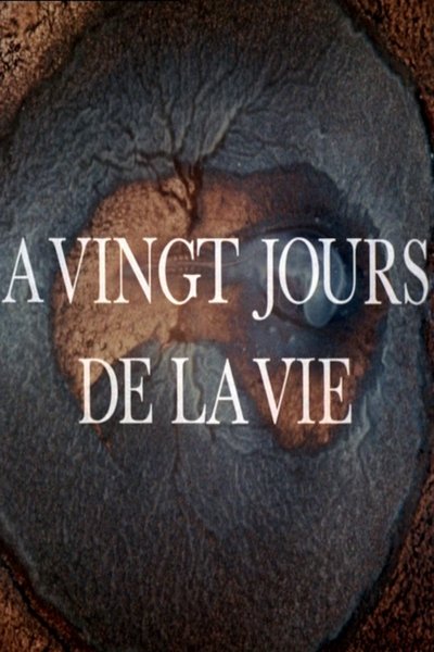 Poster do Filme A vingt jours de la vie