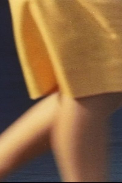 Poster do Filme Fibers from the Sun