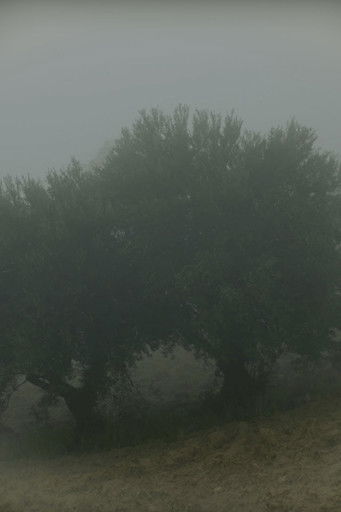 Poster do Filme لماذا أراكِ في كل شيء؟