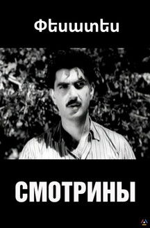 Poster do Filme Visiting the Groom